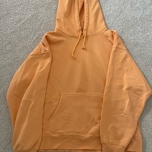 Aritzia TNA Boyfriend Hoodie